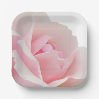 Rosa rosa pappteller