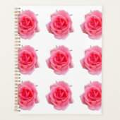 Rosa Rosa Planer (Vorderseite)