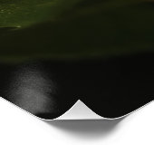 Rosa Rosa Poster (Ecke)