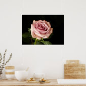Rosa Rosa Poster (Küche)