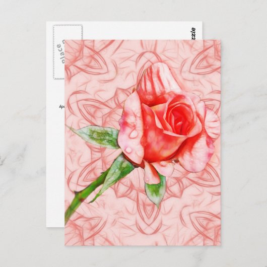 Rosa Rosa Postkarte (Vorne/Hinten)