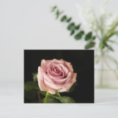 Rosa Rosa Postkarte (Stehend Vorderseite)