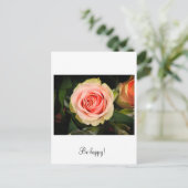 Rosa Rosa Postkarte (Stehend Vorderseite)