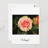 Rosa Rosa Postkarte (Vorne/Hinten)