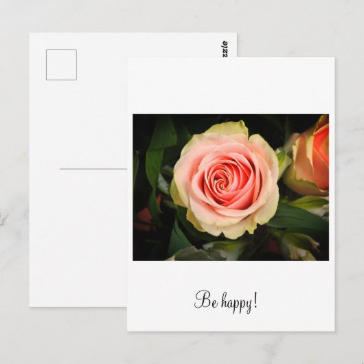Rosa Rosa Postkarte (Vorne/Hinten)