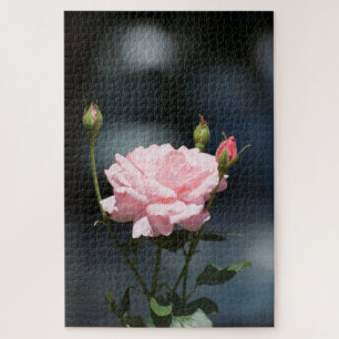 Rosa Rosa Puzzle