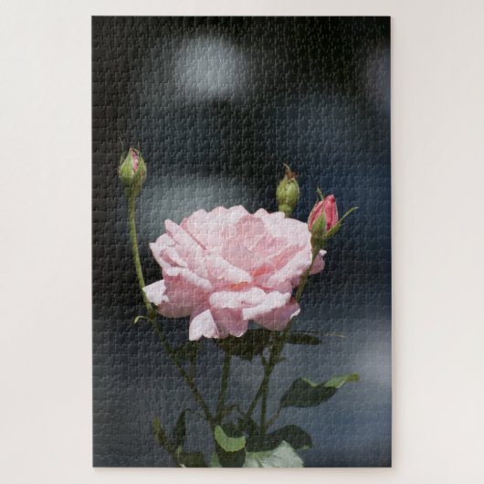 Rosa Rosa Puzzle (Vertikal)