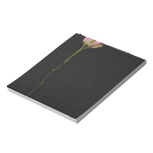 Rosa Rosa Rosa 3 Notizblock (Rotiert)