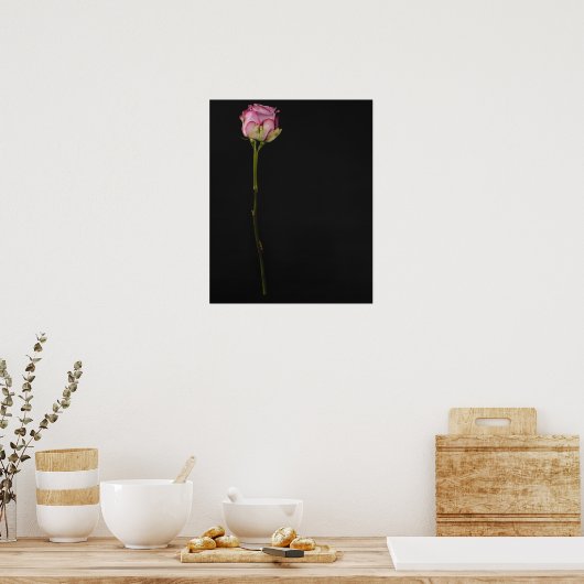 Rosa Rosa Rosa 3 Poster (Küche)
