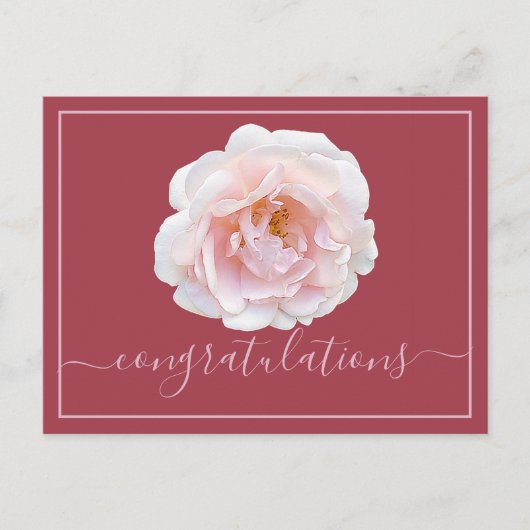 Rosa Rosa Rosa Hintergrund Herzlichen Glückwunsch Postkarte (Vorderseite)