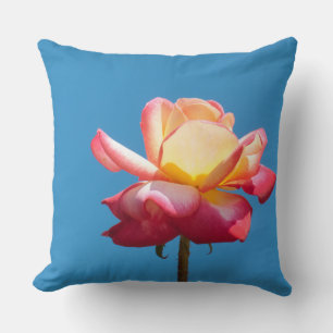 Rosa Rosa Rosa Kissen