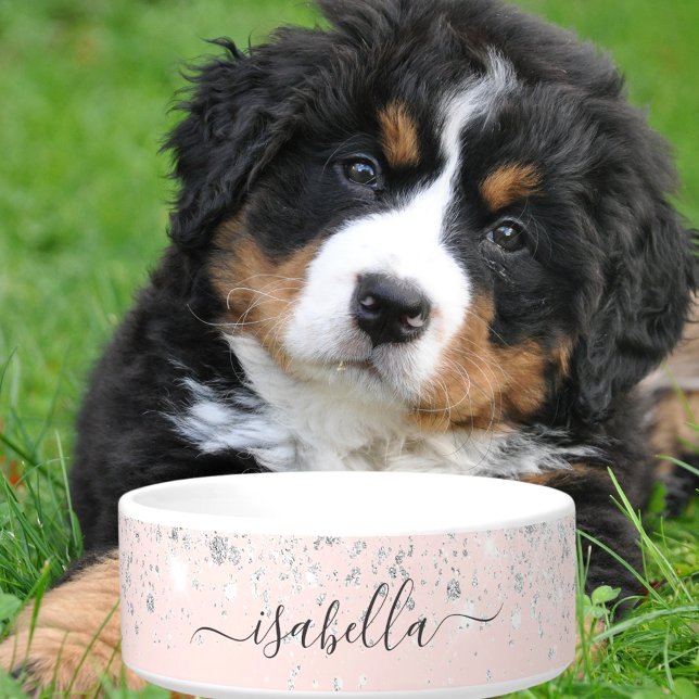 Rosa Rosa Rosa Silbersilber Glitzer Staubname Napf (Von Creator hochgeladen)