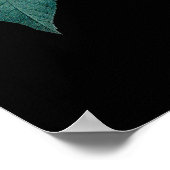 Rosa Rosa Rose von Redoute, schwarzer Hintergrund Poster (Ecke)