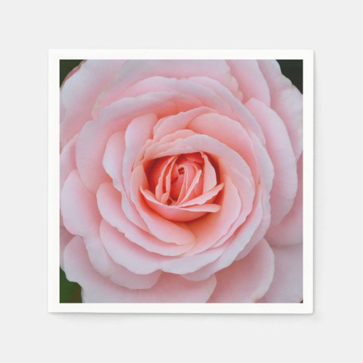 Rosa Rosa Serviette (Vorderseite)