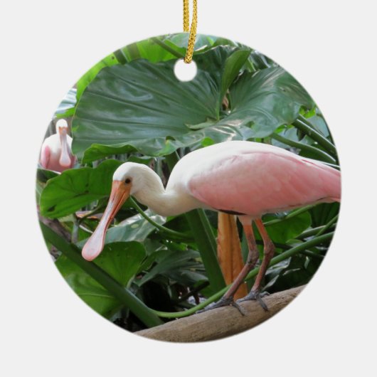 Rosa rosa Spoonbill-Vogel Keramikornament (Vorne)