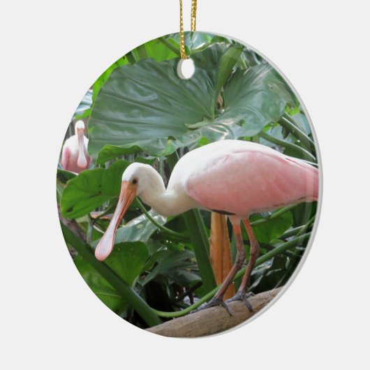 Rosa rosa Spoonbill-Vogel Keramikornament (Links)
