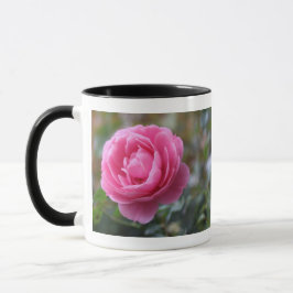 Rosa Rosa Tasse