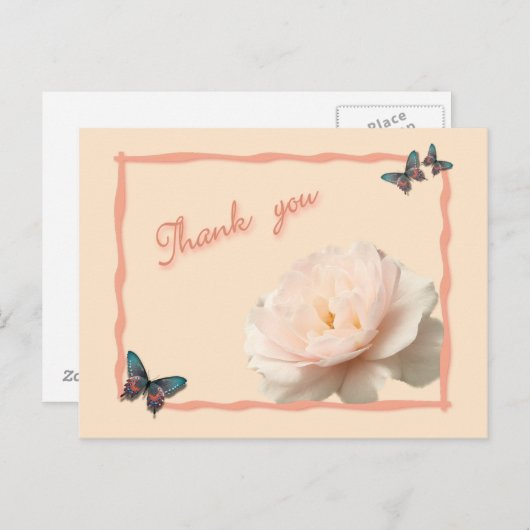 Rosa Rosa und Weiß Postkarte (Vorne/Hinten)