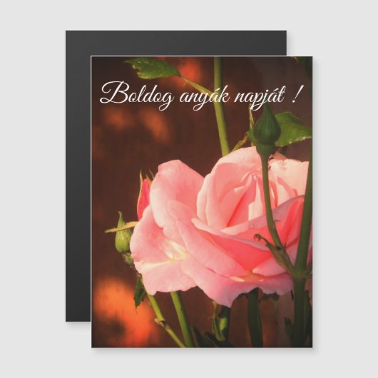 Rosa Rosa Ungarischer Muttertag - Magnetkarte (Vorne/Hinten)