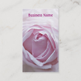 Rosa Rosa Visitenkarte