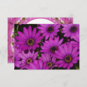 Rosa Rose (Vorne/Hinten)