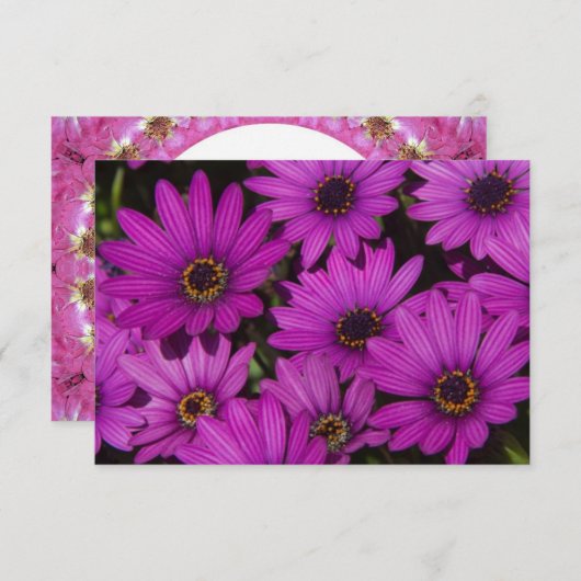 Rosa Rose (Vorne/Hinten)