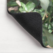Rosa Rose 1 Mousepad (Ecke)