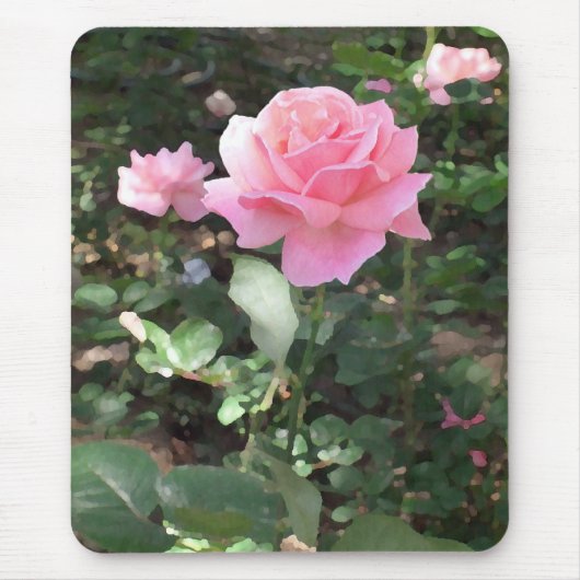Rosa Rose 1 Mousepad (Vorne)