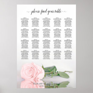 Rosa Rose 20 Tafelübersicht Poster