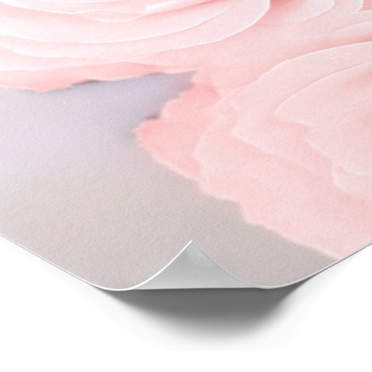 Rosa Rose 20 Tafelübersicht Poster (Ecke)