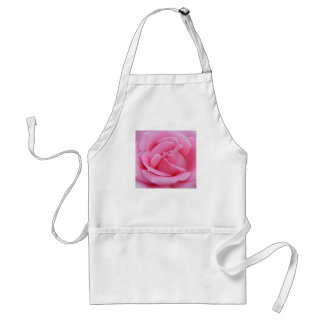 rosa Rose 2 durch Schürze 2