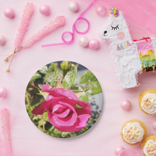 Rosa Rose #2 Pappteller (Party)