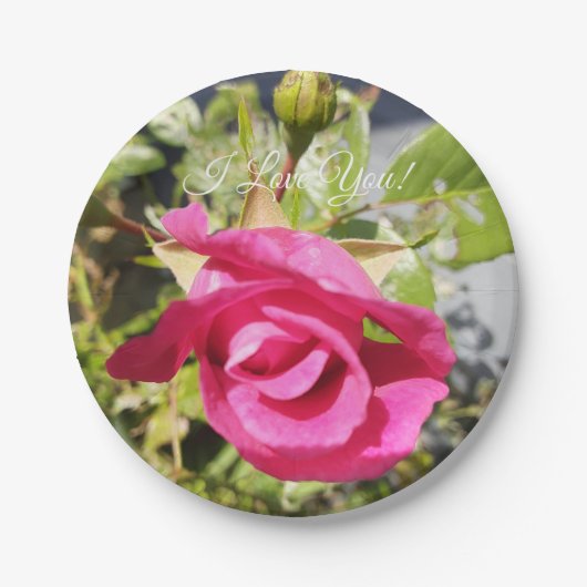 Rosa Rose #2 Pappteller (Vorderseite)