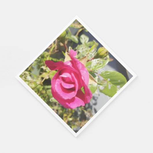 Rosa Rose #2 Serviette (Ecke)