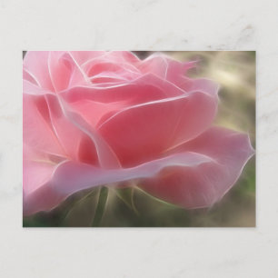 Rosa Rose 3 Angelic Postkarte