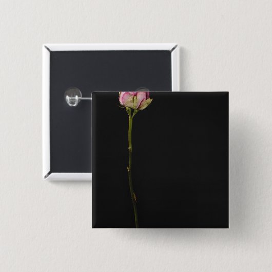 Rosa Rose 3 Button (Vorne & Hinten)