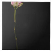 Rosa Rose 3 Fliese (Vorderseite)