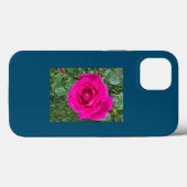 Rosa Rose#3 iPhone / iPad Gehäuse Case-Mate iPhone Hülle (Rückseite (Horizontal))