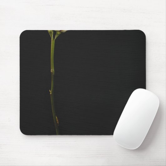 Rosa Rose 3 Mousepad (Mit Mouse)