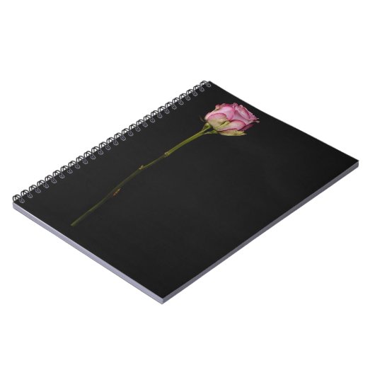 Rosa Rose 3 Notizblock (Linke Seite)