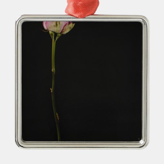 Rosa Rose 3 Ornament Aus Metall (Vorne)