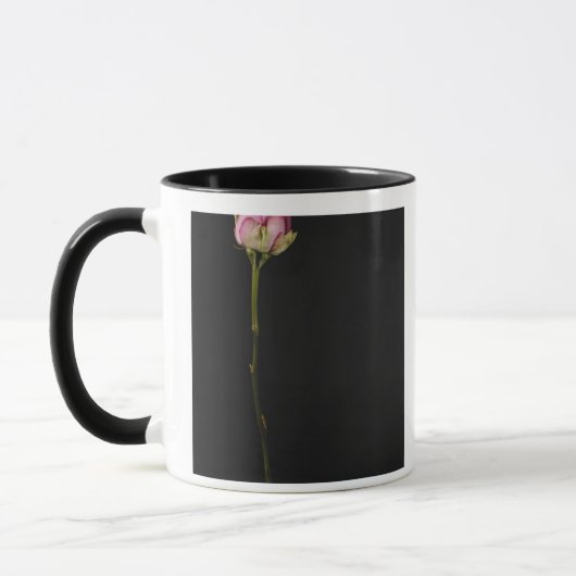 Rosa Rose 3 Tasse (Links)