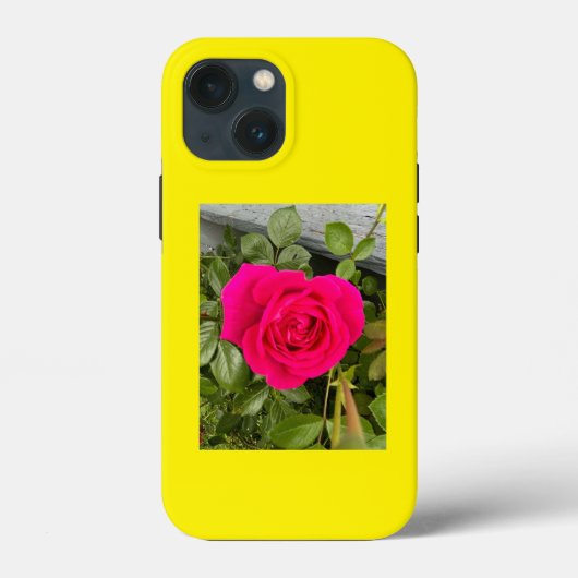 Rosa Rose #4 Case-Mate iPhone Hülle (Rückseite)
