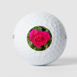 Rosa Rose #4 Golfball