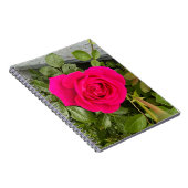 Rosa Rose #4 Notizblock (Rechte Seite)