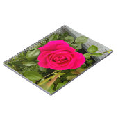Rosa Rose #4 Notizblock (Linke Seite)
