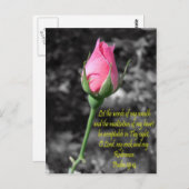 Rosa Rose 4 Psalm 19:14 Postkarte (Vorne/Hinten)