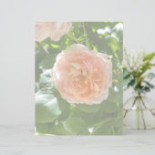 Rosa Rose 8,5 x 11 Papier (Stehend Vorderseite)