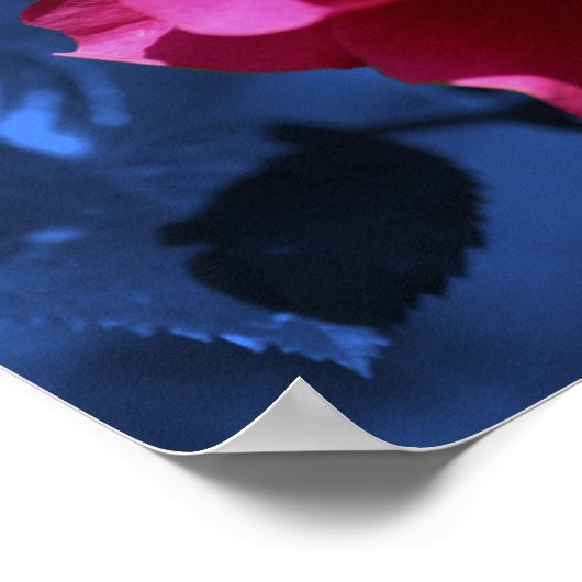 Rosa Rose Abstrakt Blue Tint Blume Poster (Ecke)