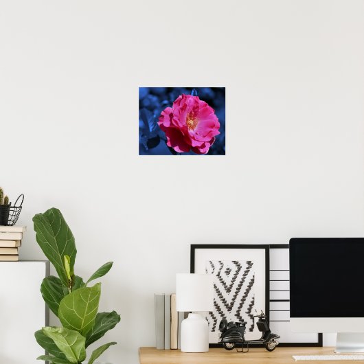 Rosa Rose Abstrakt Blue Tint Blume Poster (Heimbüro)